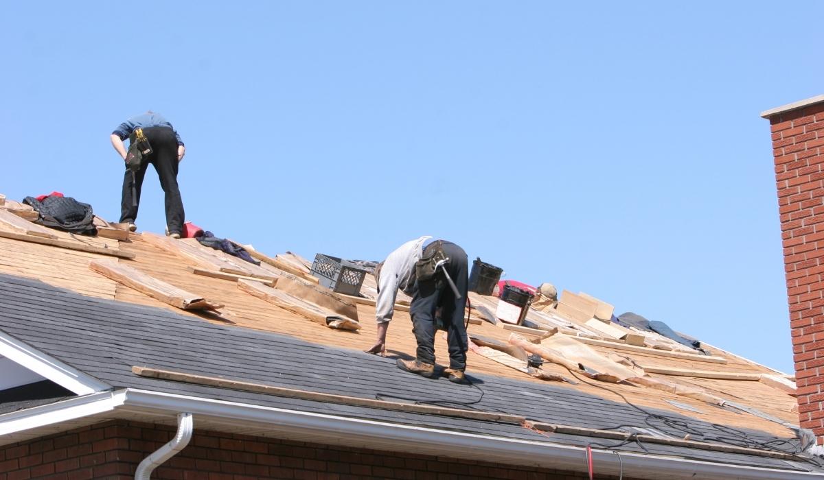 Professional Roofing Services